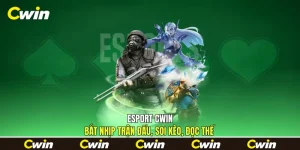 Esport Cwin - Bắt Nhịp Trận Đấu, Soi Kèo, Đọc Thế
