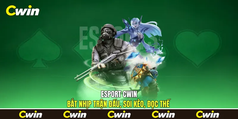 Esport Cwin - Bắt Nhịp Trận Đấu, Soi Kèo, Đọc Thế