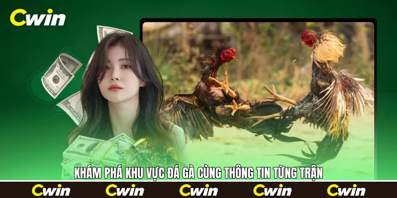 Khám phá khu vực đá gà cùng thông tin từng trận Khám phá khu vực đá gà cùng thông tin từng trận
