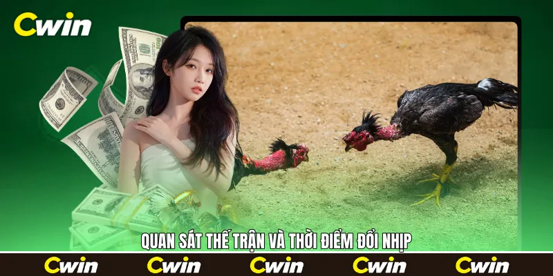 Quan sát thế trận và thời điểm đổi nhịp Quan sát thế trận và thời điểm đổi nhịp