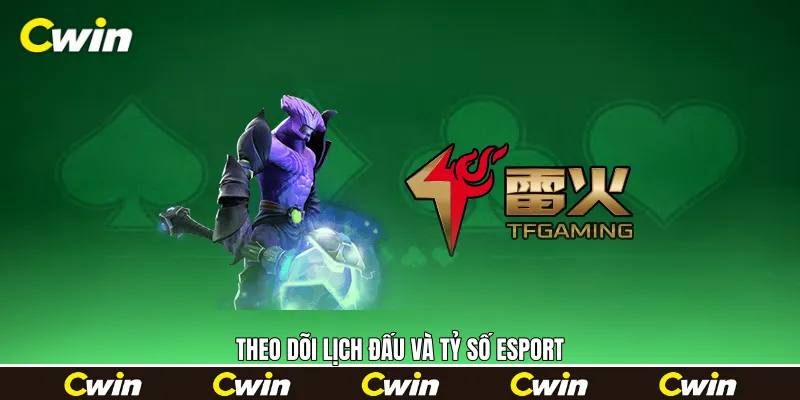 Theo dõi lịch đấu và tỷ số Esport Theo dõi lịch đấu và tỷ số Esport
